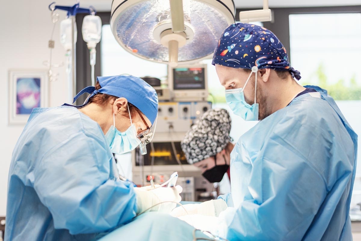 Tierärztliches Zentrum für Chirurgie Aachen | Professionelle Chirurgie