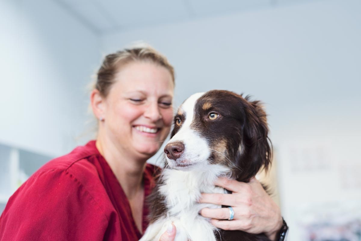 Tierärztliches Zentrum für Chirurgie Aachen | Job - Tiermedizinische Fachangestellte