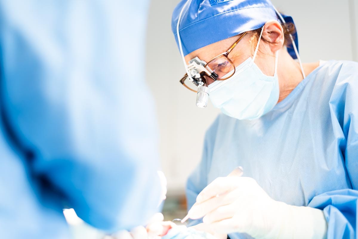 Tierärztliches Zentrum für Chirurgie Aachen | Fachtierärztin Chirurgie